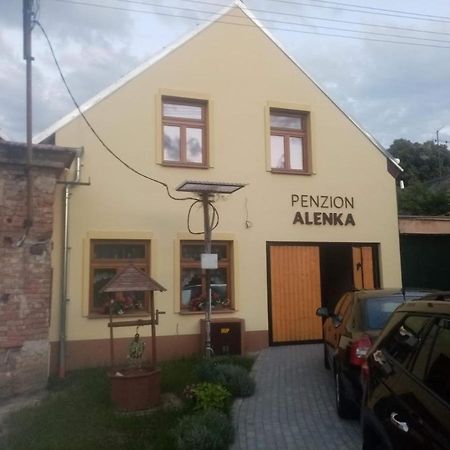 Penzion Alenka Valtice Exteriér fotografie
