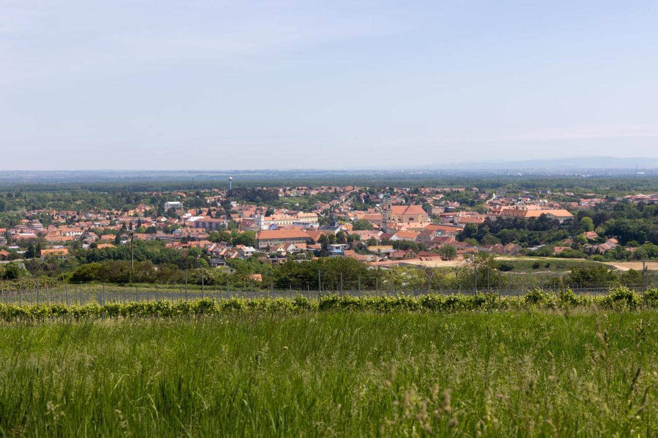 Penzion Alenka Valtice Exteriér fotografie