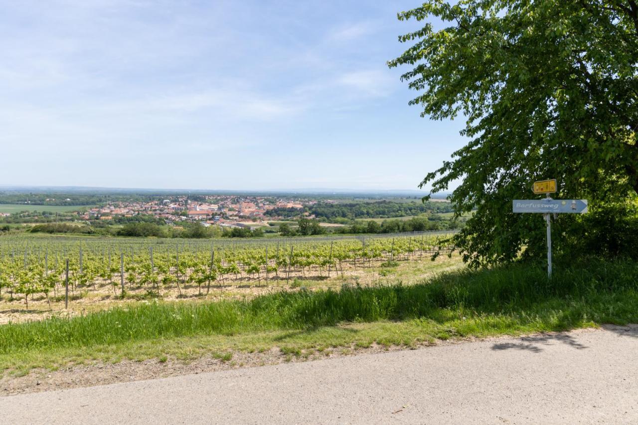 Penzion Alenka Valtice Exteriér fotografie