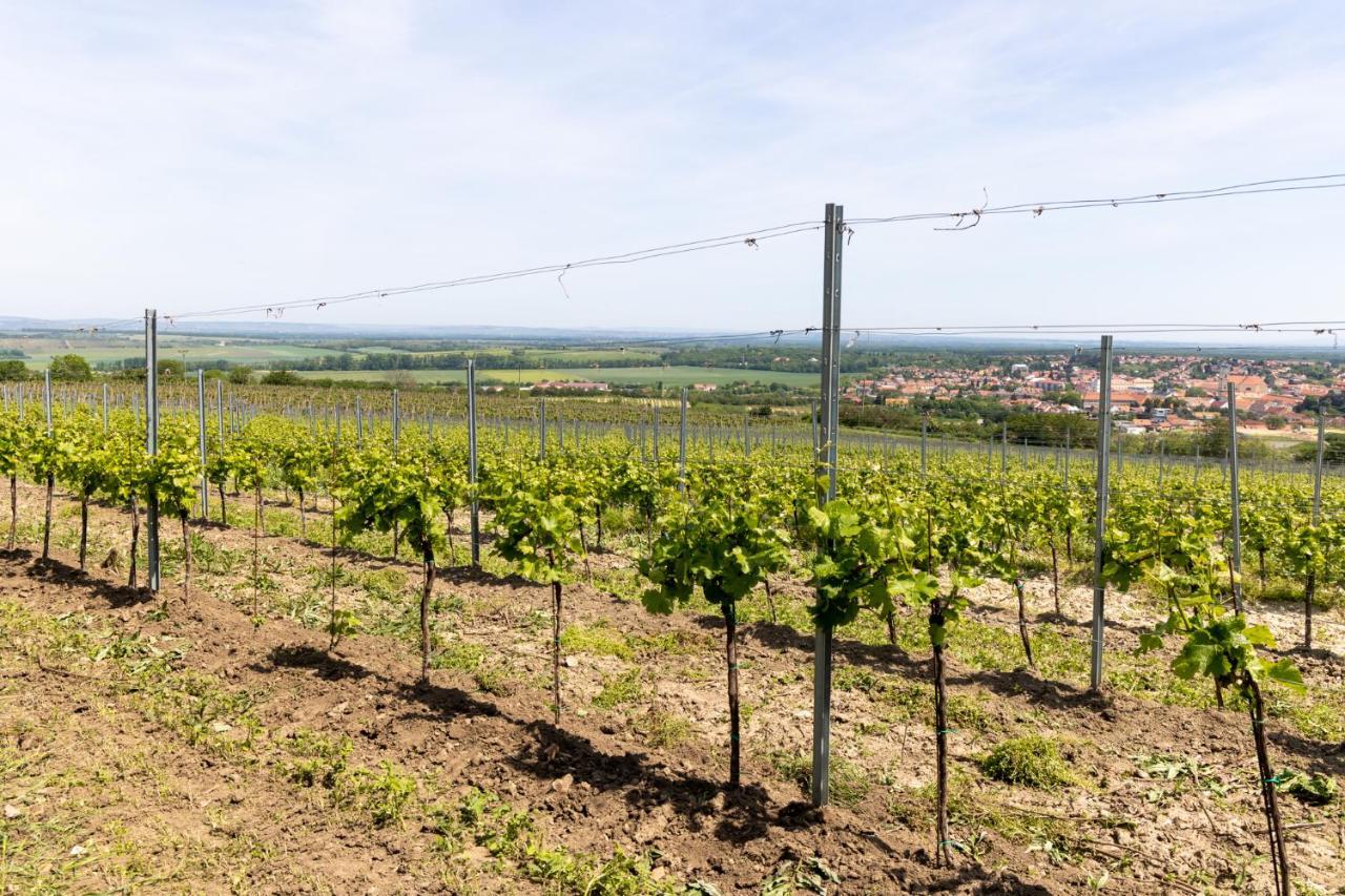 Penzion Alenka Valtice Exteriér fotografie